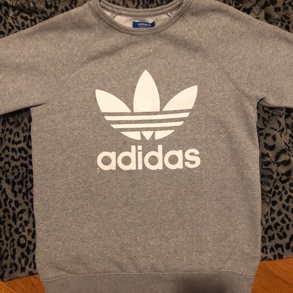 Champion grey sweatshirt/pullover